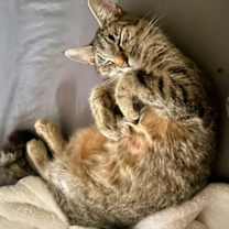 Thumbnail photo of Evelyn #1