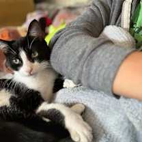 Thumbnail photo of Deuce #2