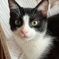 Thumbnail photo of Deuce #3