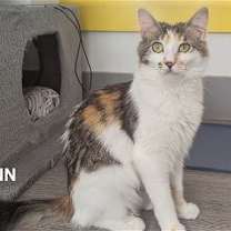 Thumbnail photo of Mary Ann #1
