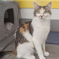 Thumbnail photo of Mary Ann #2