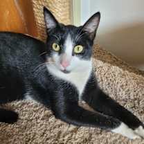 Thumbnail photo of Pip #2