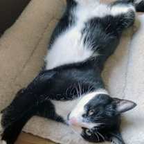 Thumbnail photo of Pip #4