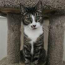 Thumbnail photo of Hudson #1