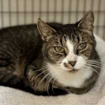 Thumbnail photo of Hudson #2