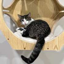 Thumbnail photo of Pearl #1