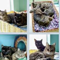 Thumbnail photo of Max #1