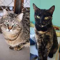 Thumbnail photo of Max #3