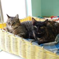 Thumbnail photo of Max #4