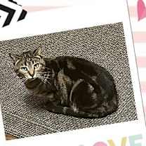 Thumbnail photo of Morgan #3