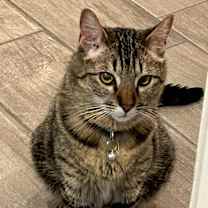 Thumbnail photo of Wendy #3