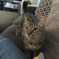 Thumbnail photo of Wendy #4