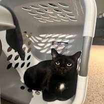 Thumbnail photo of Bree #1
