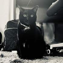 Thumbnail photo of Bree #2