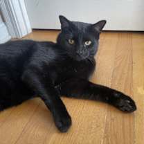Thumbnail photo of Selwyn #3