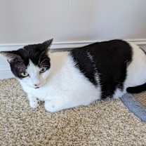 Thumbnail photo of Stan #2