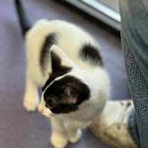 Thumbnail photo of A TootyTa #4