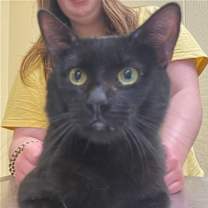 Thumbnail photo of Sebastian #2