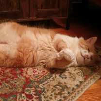 Thumbnail photo of Rusty #3