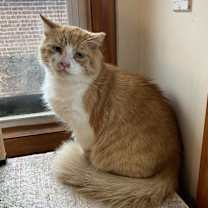 Thumbnail photo of Rusty #1