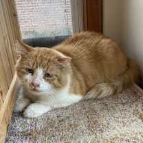 Thumbnail photo of Rusty #4