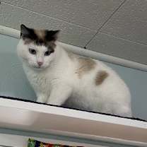 Thumbnail photo of Clara #2