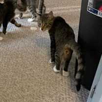 Thumbnail photo of William #4