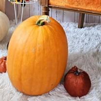 Thumbnail photo of Karen #3