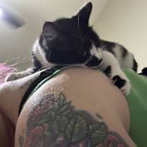 Thumbnail photo of Magpie #2