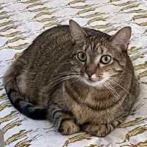 Thumbnail photo of Ariana #2