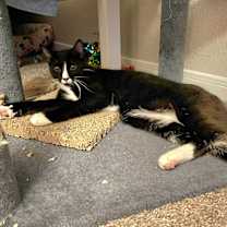 Thumbnail photo of Maia #2