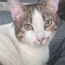 Thumbnail photo of Sasha #1