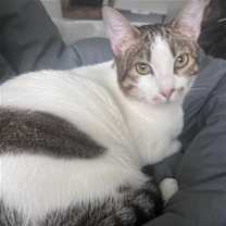 Thumbnail photo of Sasha #3