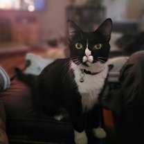 Thumbnail photo of Dory #1