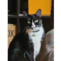 Thumbnail photo of Dory #2