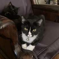 Thumbnail photo of Dory #3