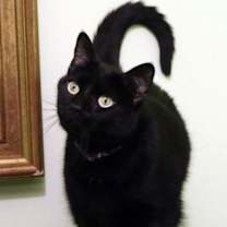 Thumbnail photo of Harriett #1