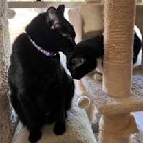 Thumbnail photo of Harriett #2