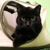Thumbnail photo of Harriett #3