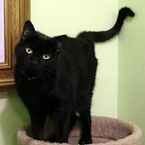 Thumbnail photo of Harriett #4