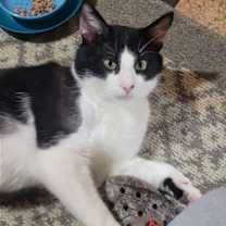 Thumbnail photo of Bruce #1