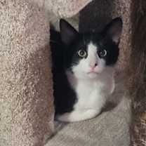 Thumbnail photo of Bruce #2