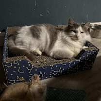 Thumbnail photo of Timothy #2