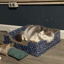 Thumbnail photo of Timothy #3