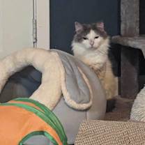 Thumbnail photo of Timothy #4
