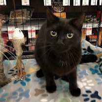 Thumbnail photo of Snuffy #1