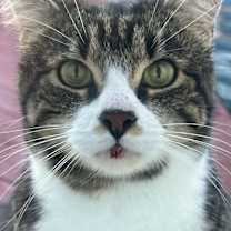 Thumbnail photo of Jacuzzi #1