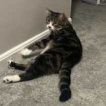 Thumbnail photo of Jacuzzi #2