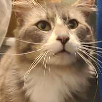 Thumbnail photo of Max #2