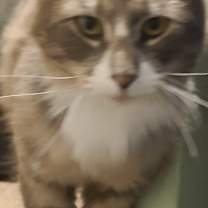 Thumbnail photo of Max #3